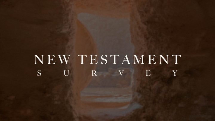 Crossroads Biblical Institute Course: New Testament Survey logo