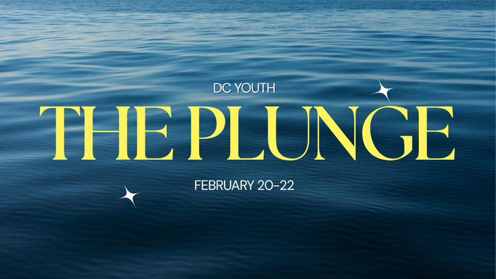 DC Youth The Plunge 2026 logo