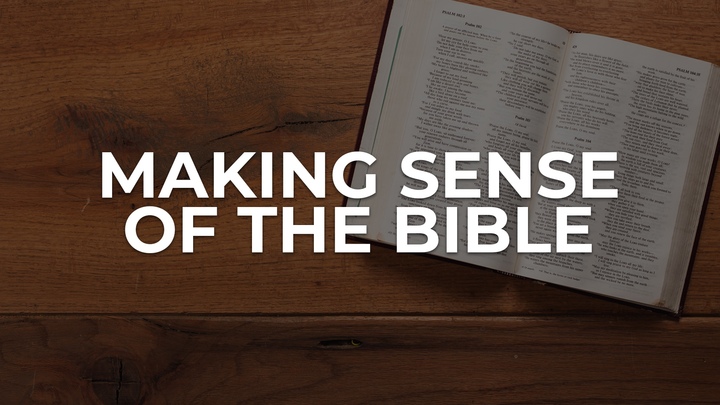 Making Sense of the Bible logo