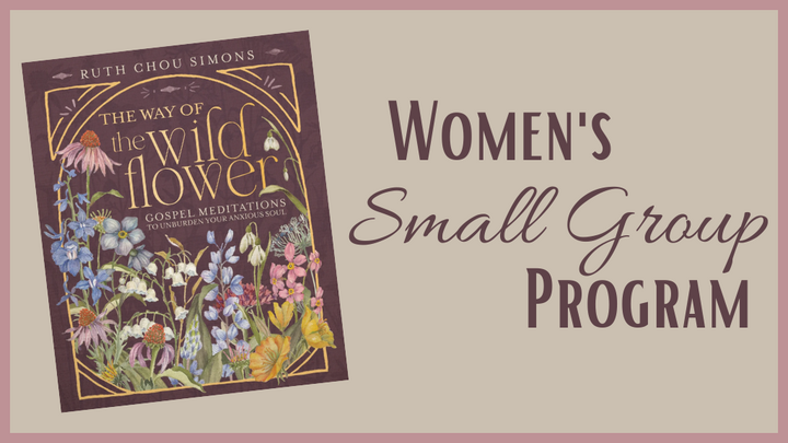 2026 Women's Small Group Program logo