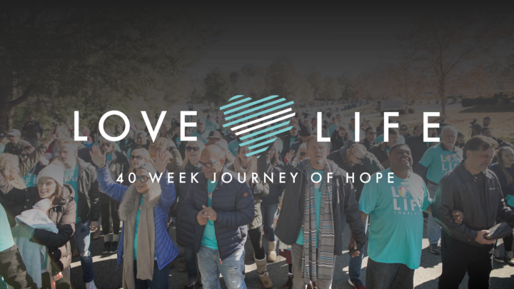 Celebrate Life Prayer Walk logo