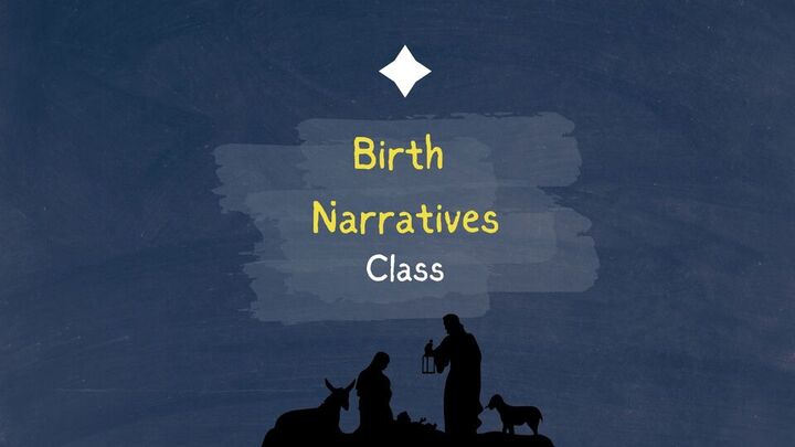 Birth Narratives logo