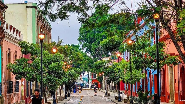 Oaxaca | Dawson College Mission Project logo