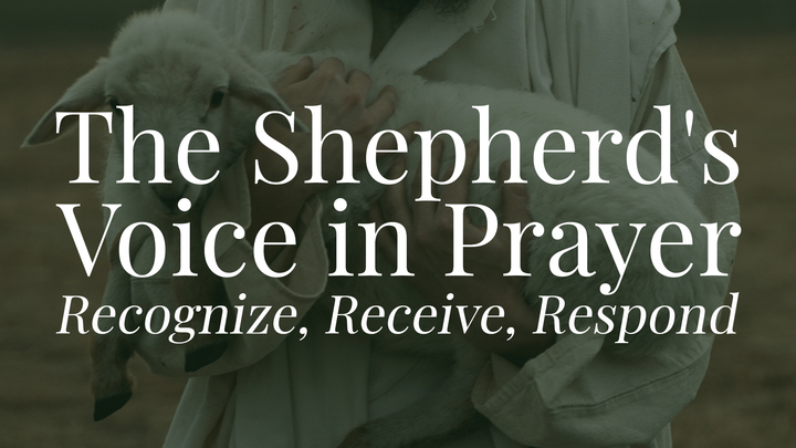 The Shepherd's Voice in Prayer (Sunday Mornings - Join Anytime) logo