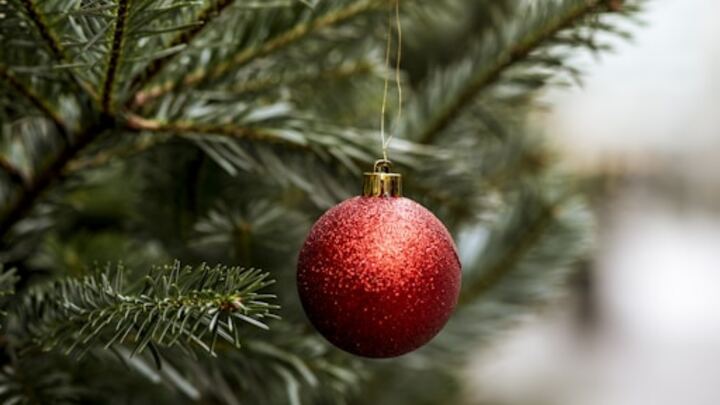 SPLASH! Team Christmas Party and PIT STOP logo