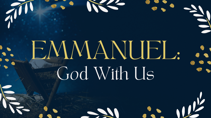 Ladies Christmas Party logo