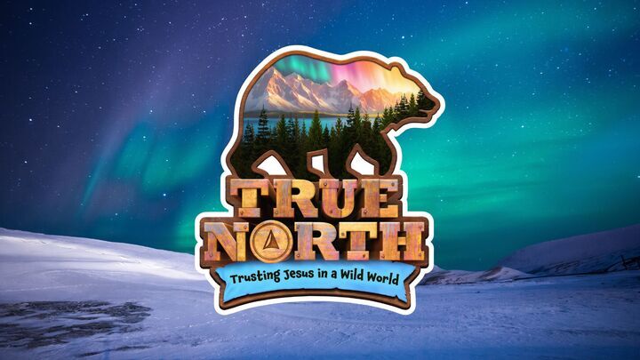 VBS 2026: True North logo