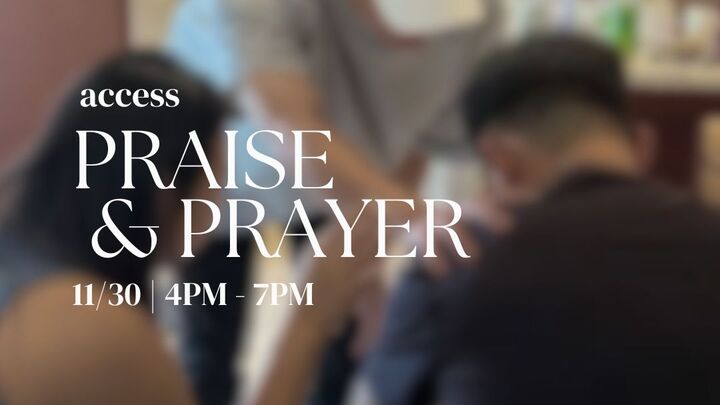 Access PNP 11/30/25 logo