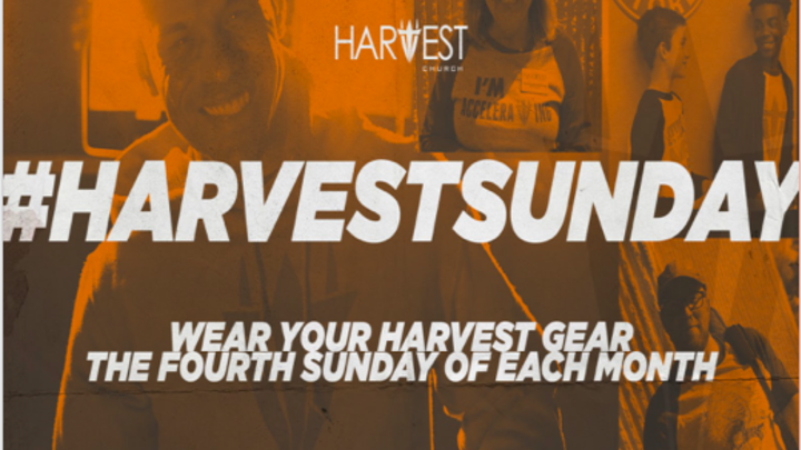 #Harvest Sundays logo image