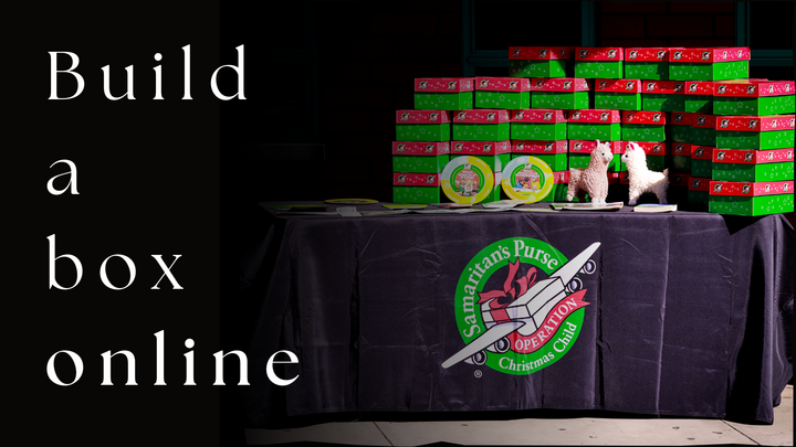 Build a Shoe Box Online logo