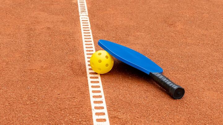 Beginner Pickleball Lessons at Saint Paul November logo
