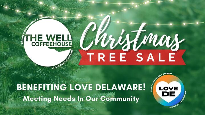 Volunteer - The Well Christmas Tree Sale logo