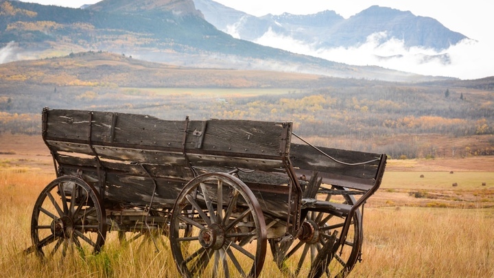 50+ Owyhee County Tour logo