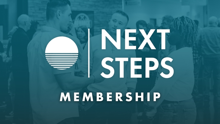 Next Steps | February 2026 logo