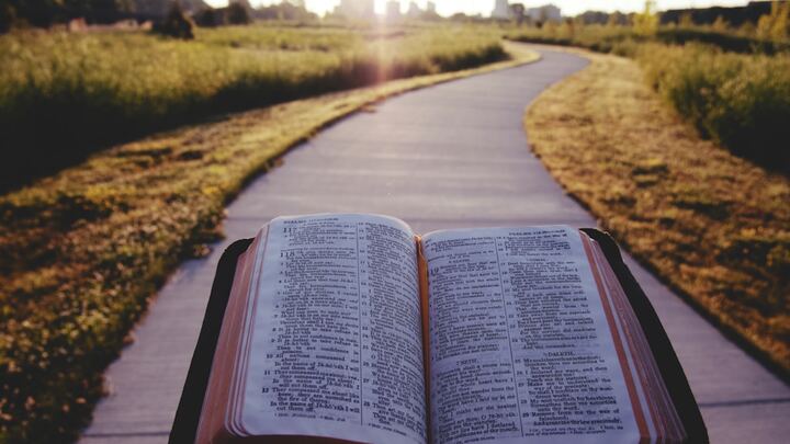 Bible Reading Journey (2026) logo