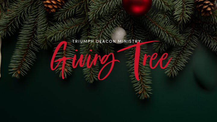 Giving Tree 2025 [Tags 1-100] logo