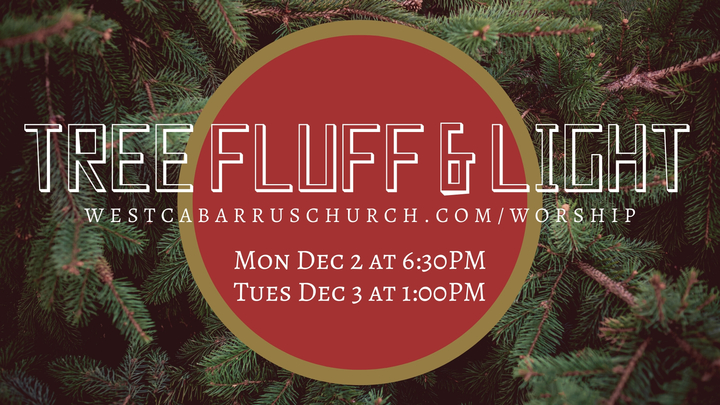 Tree Fluff & Light logo image