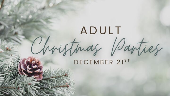 Adult Christmas Parties logo