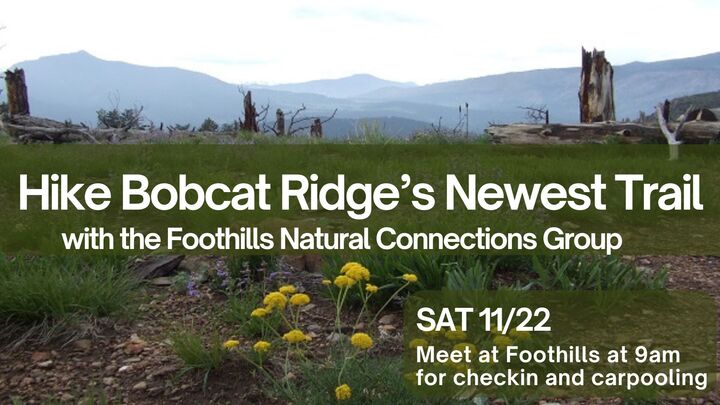 Hike Bobcat Ridge's Newest Trail! logo
