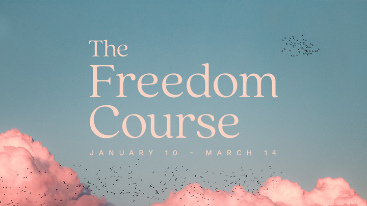 Freedom Course 2026 logo