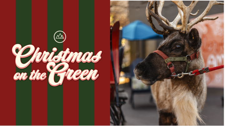Christmas on the Green logo