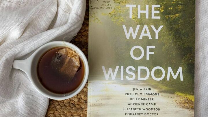 The Way of Wisdom Bible Study logo