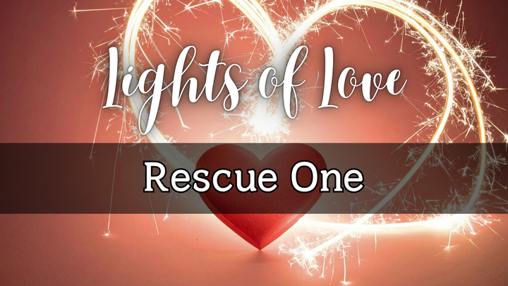 Lights of Love 2025 - Rescue One logo