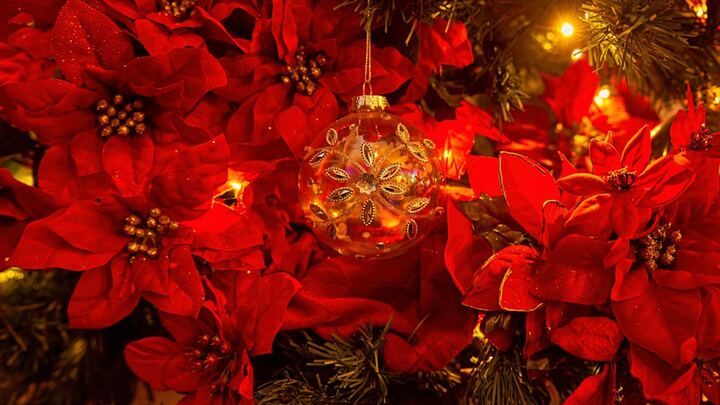 Christmas Memorial Donations logo