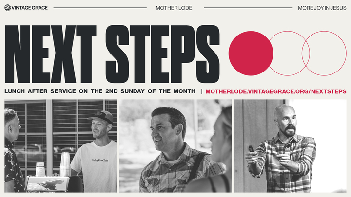 Vintage Mother Lode Next Steps Lunch logo