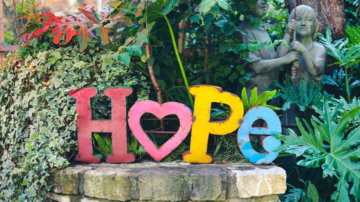 Hope for the Family Support Group logo