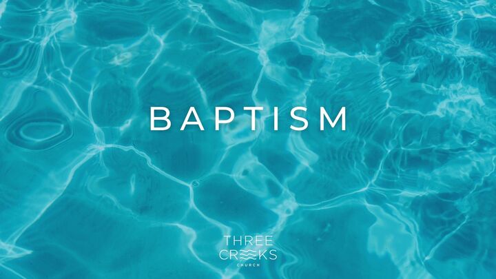Baptism Sunday - February 2025 logo