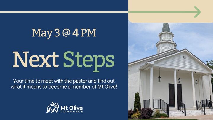 Next Steps (May 3rd) logo