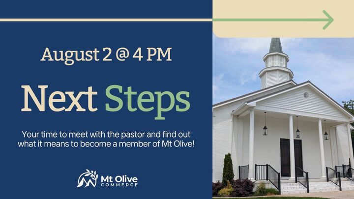 Next Steps (August 2nd) logo