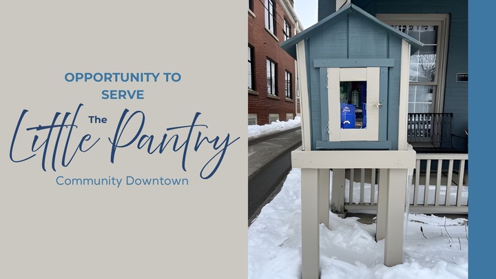 CDT Little Food Pantry logo