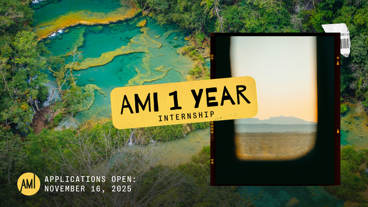 AMI 1 Year Internship 2026-2027 logo