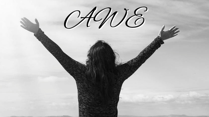 Mobile, AL Women's Encounter logo