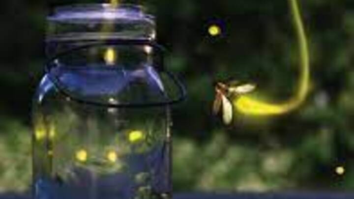 Wonderfully Made logo