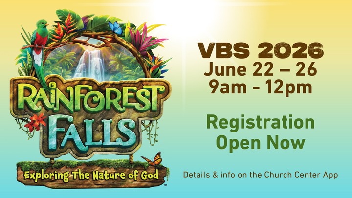 VBS 2026: Rainforest Falls logo