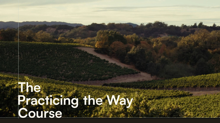 Practicing The Way: Spring 2026 logo