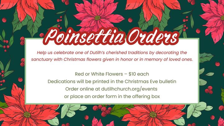 Christmas Poinsettias 2024 logo