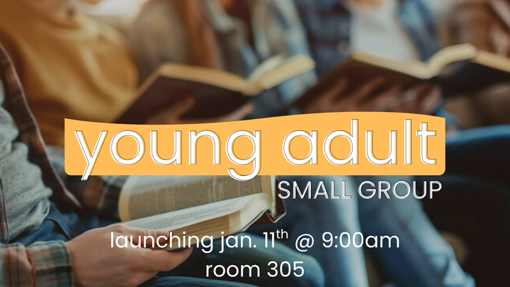 Young Adult Small Group Launch logo