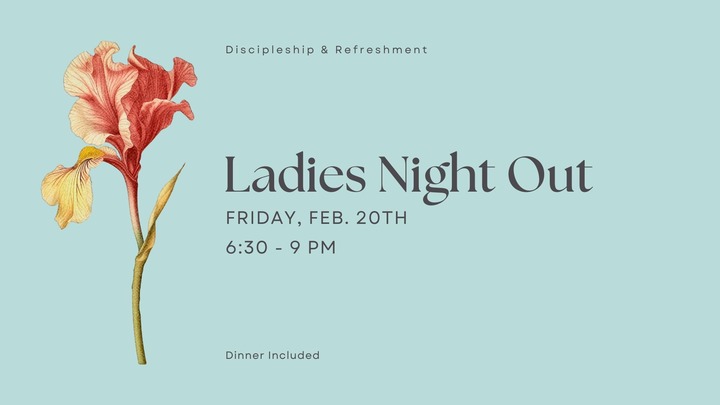 Ladies Night Out logo