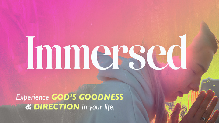 Immersed logo
