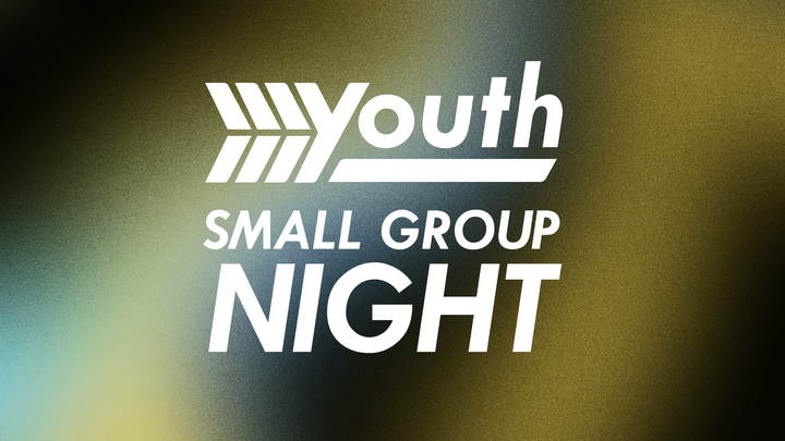 Youth Small Group Night logo