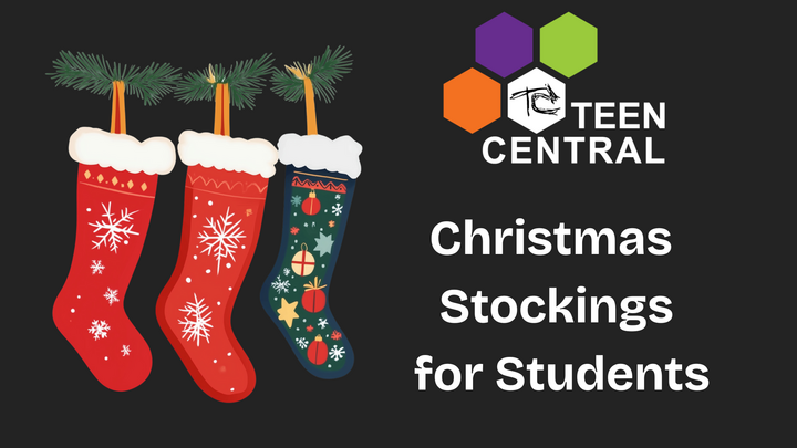 Teen Central Stockings  logo