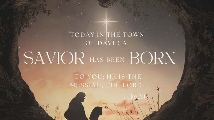 Decorate Webster for Christmas logo