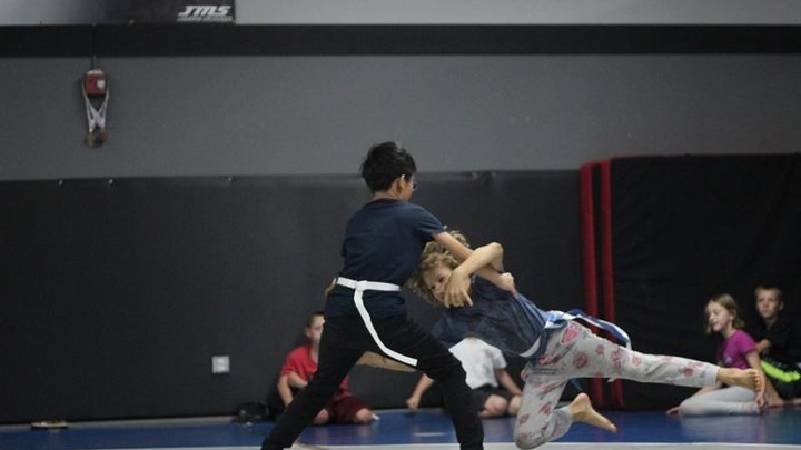 Reality Sports Martial Arts logo image