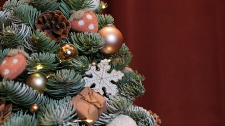 RWC Christmas Party logo