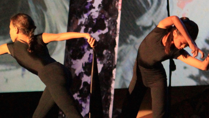 Psalm & Dance 2 (Grades 5-8) logo image