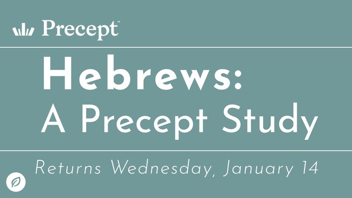 Hebrews: A Precept Study logo